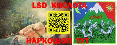 шишки Лесосибирск