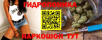 шишки Лесосибирск