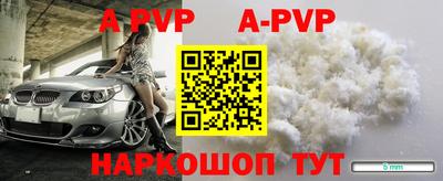 шишки Лесосибирск