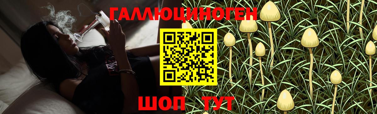 Галлюциногенные грибы Magic Shrooms  Вход с VPN  Елизово 