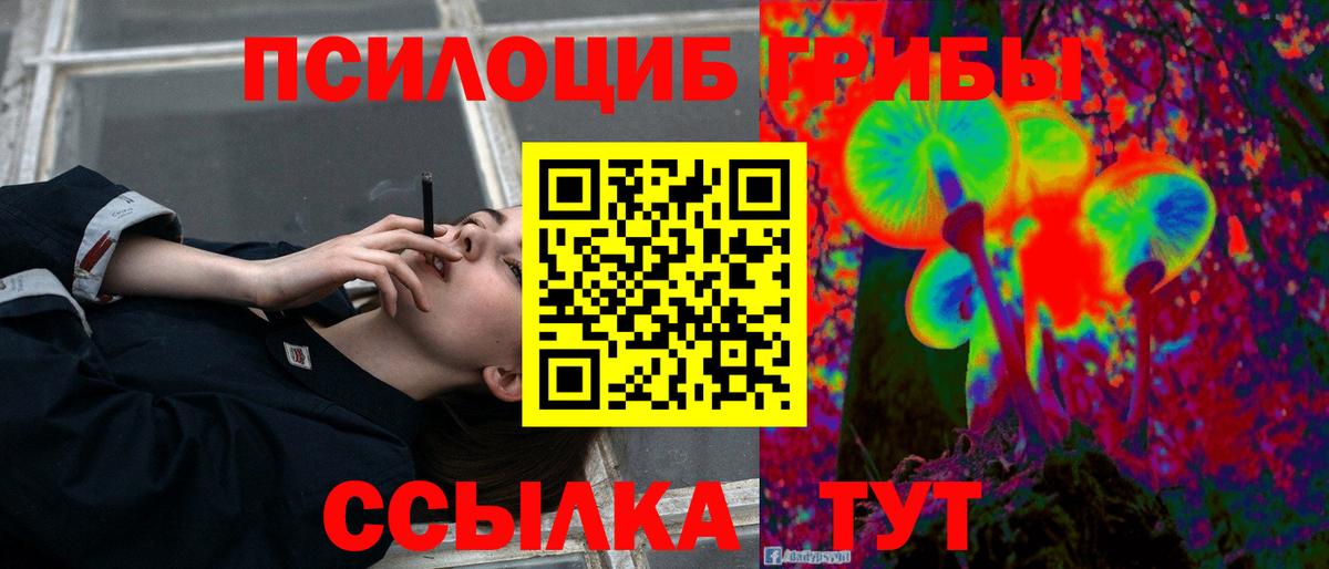 Псилоцибиновые грибы MAGIC MUSHROOMS Елизово